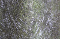 Walton On The Wolds fibreglass roof work